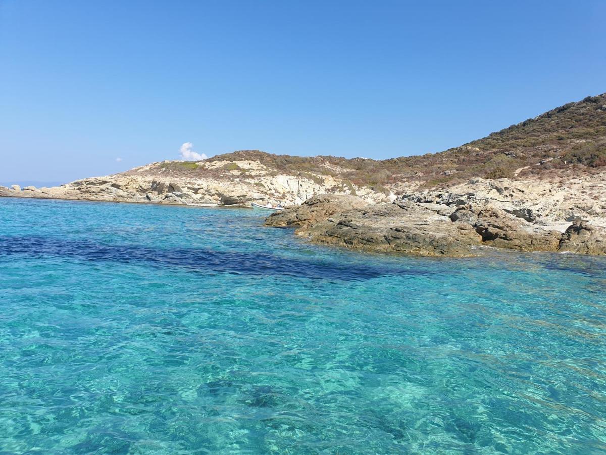 Le Panoramic Daire Saint-Florent  Dış mekan fotoğraf