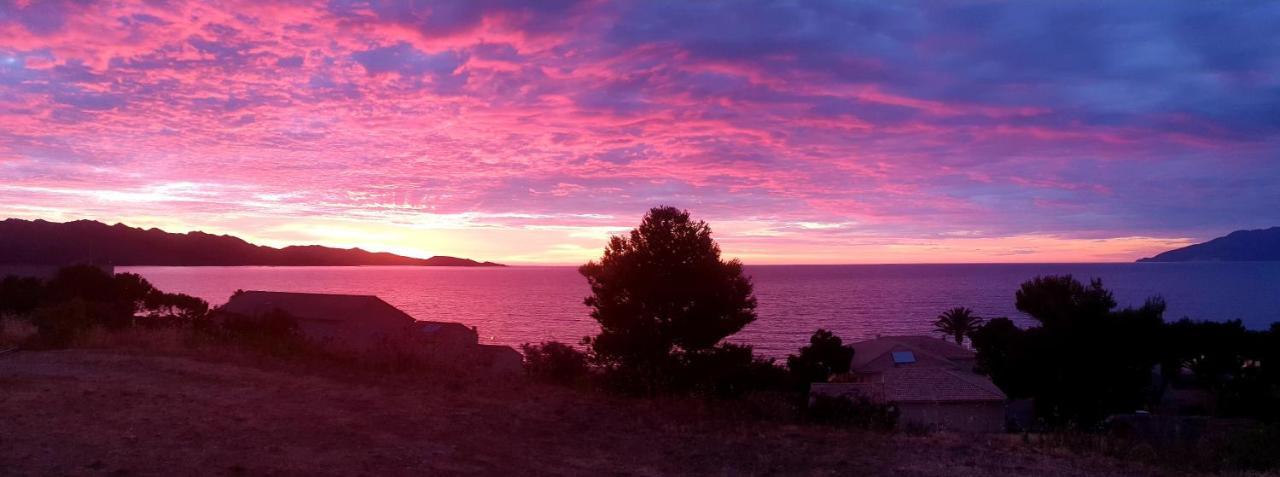 Le Panoramic Daire Saint-Florent  Dış mekan fotoğraf