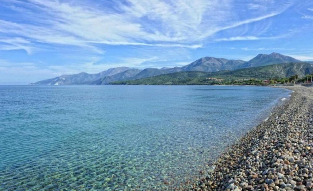 Le Panoramic Daire Saint-Florent  Dış mekan fotoğraf