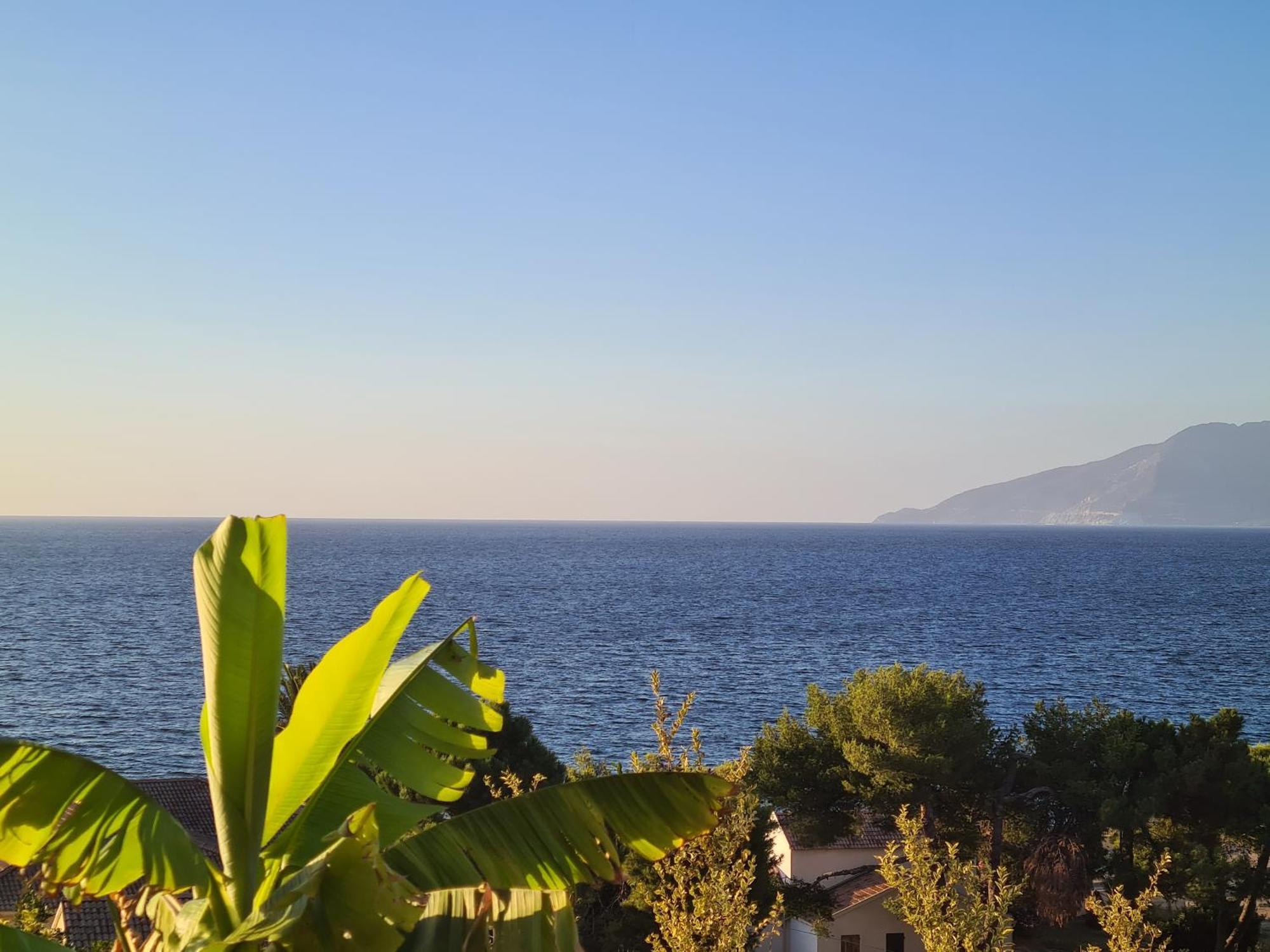Le Panoramic Daire Saint-Florent  Dış mekan fotoğraf