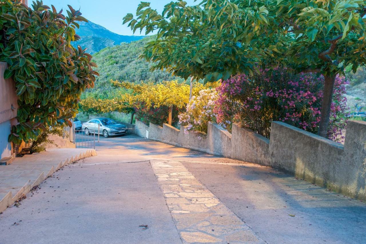 Le Panoramic Daire Saint-Florent  Dış mekan fotoğraf