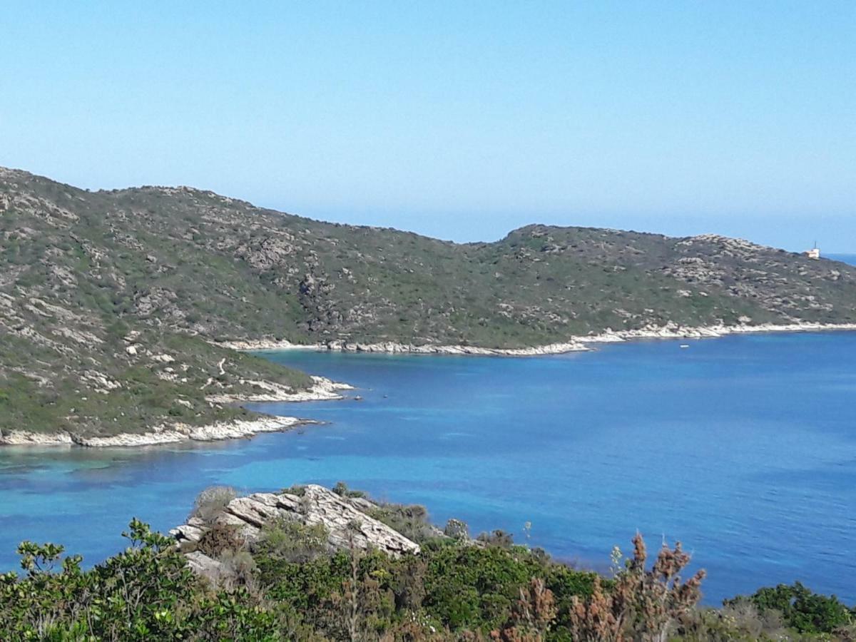 Le Panoramic Daire Saint-Florent  Dış mekan fotoğraf
