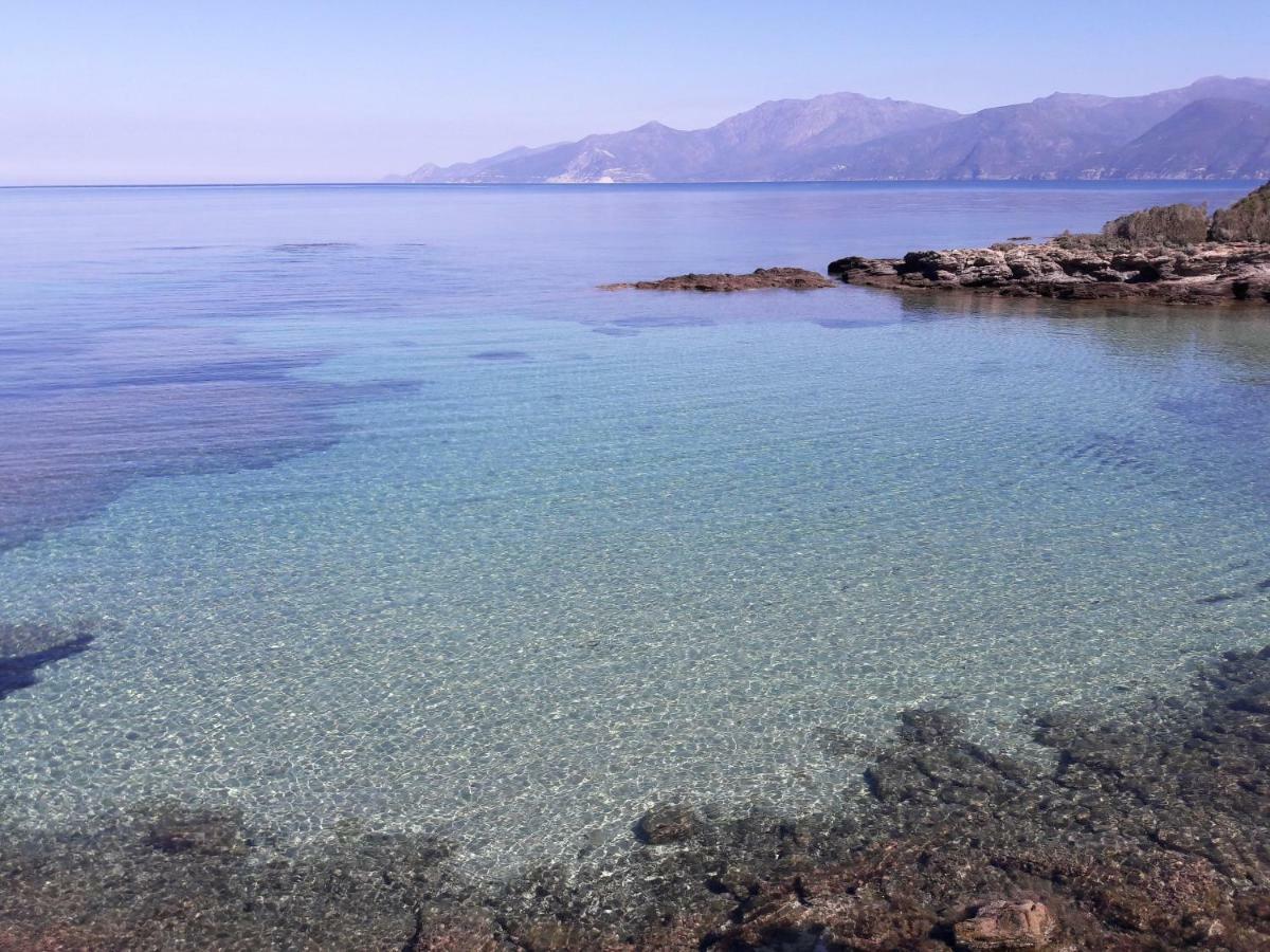 Le Panoramic Daire Saint-Florent  Dış mekan fotoğraf